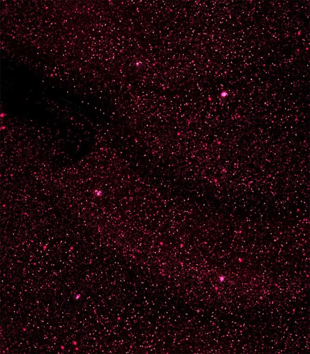 Pink Gellac - Dramatic Red - Gellak - Vegan - Rood - Shimmer Finish - 15 Ml - Afbeelding 3