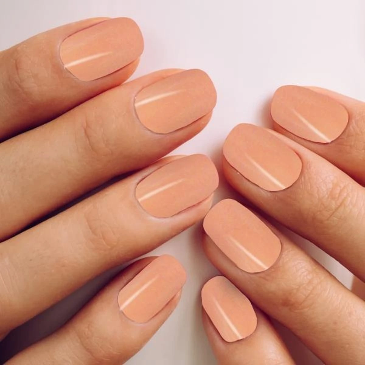 Merkloos #PRETTYPINKSERIE - Influence Gellac - Roze Gellak - Gellak Roze UV - UV Gellak - Gel Nagellak - Basecoat - Topcoat - Topcoatmat - No Wipe - Startersset - Kado Vrouw - Valentijns Cadeau - Kado Voor Haar - 4 X 10 Ml - Afbeelding 2