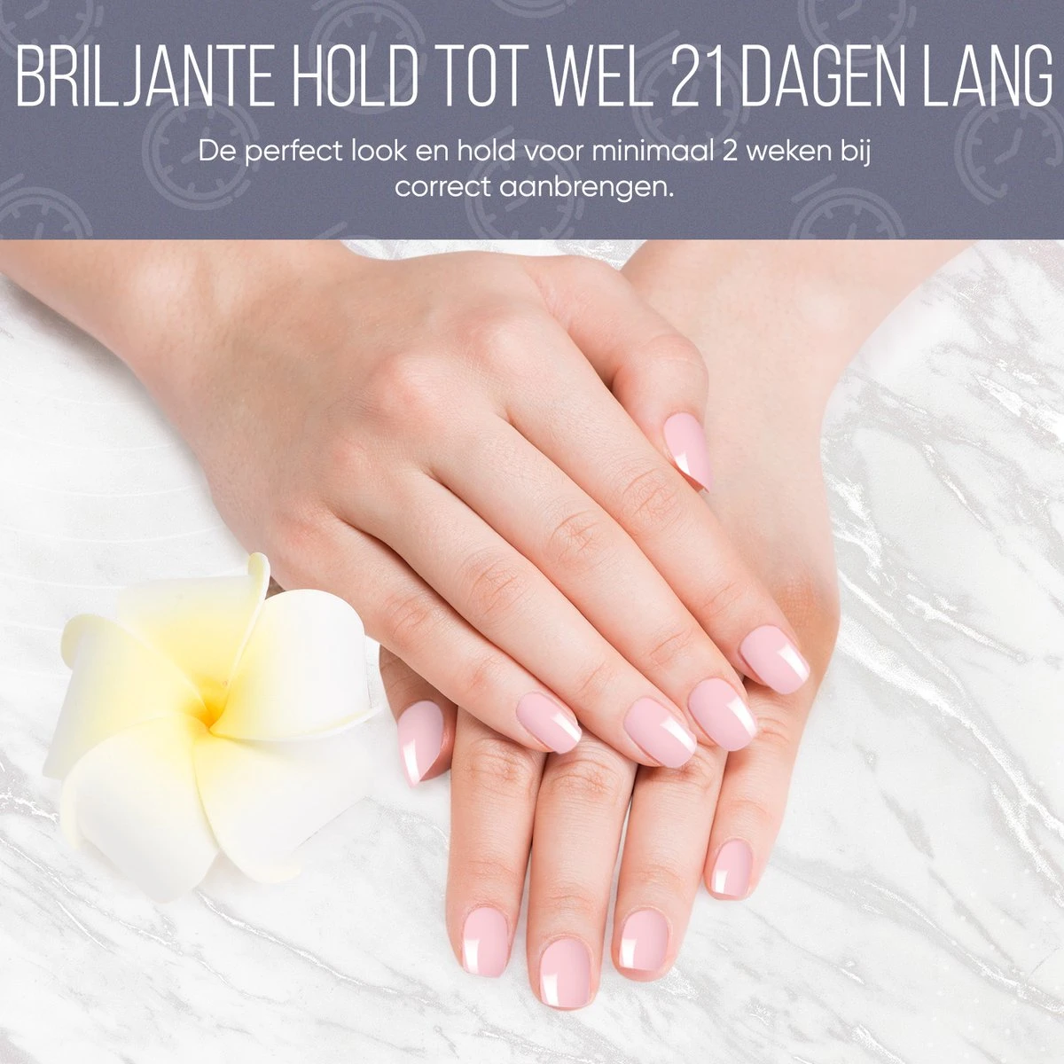 Gellak Starterspakket - Gellak - Gel Nagellak - Gellak Set - 6x8ML Kleuren - Nude Edition - Gellac - Nude Kleuren - Afbeelding 3